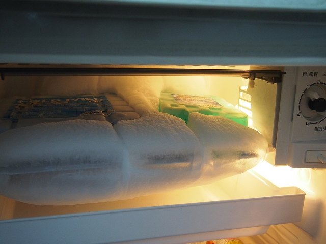 冷蔵庫の霜